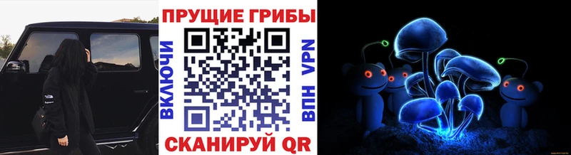 Псилоцибиновые грибы Psilocybe  Козловка 